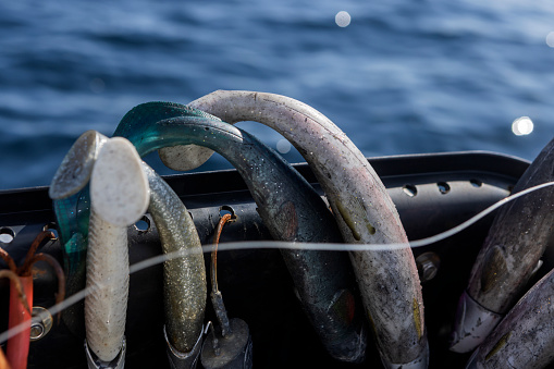 plastic fish used as bait when fishing