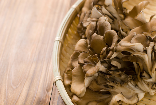Maitake (Grifola frondosa) is a mushroom used in Japanese cuisine and is also known as