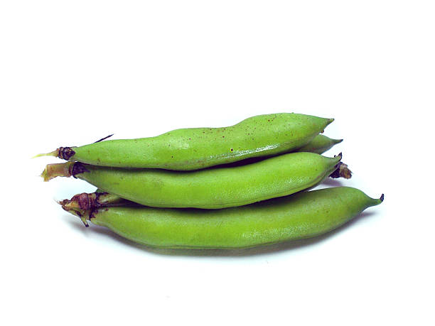 bunch of broad beans bunch of broad beans on a white background fabes stock pictures, royalty-free photos & images