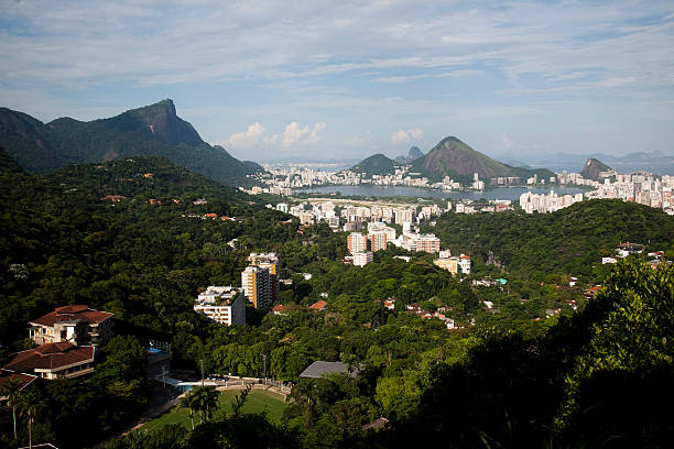 istock Lagoa Rodrigo de Freitas and forest 178606551