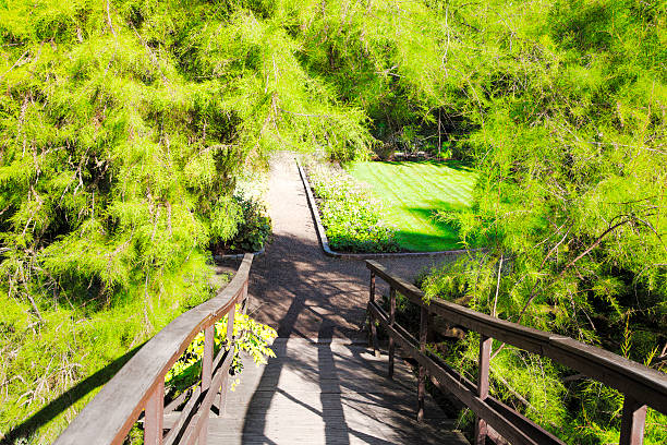 istock Japanese garden in Wroclaw, Poland 178607786