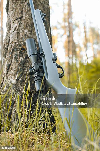 Fucile Con Vista Telescopica - Fotografie stock e altre immagini di Arma da fuoco - Arma da fuoco, Armi, Close-up