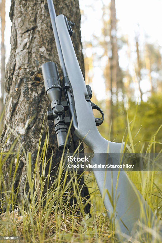 Rifle com visão Telescópico - Royalty-free Arma de Fogo Foto de stock