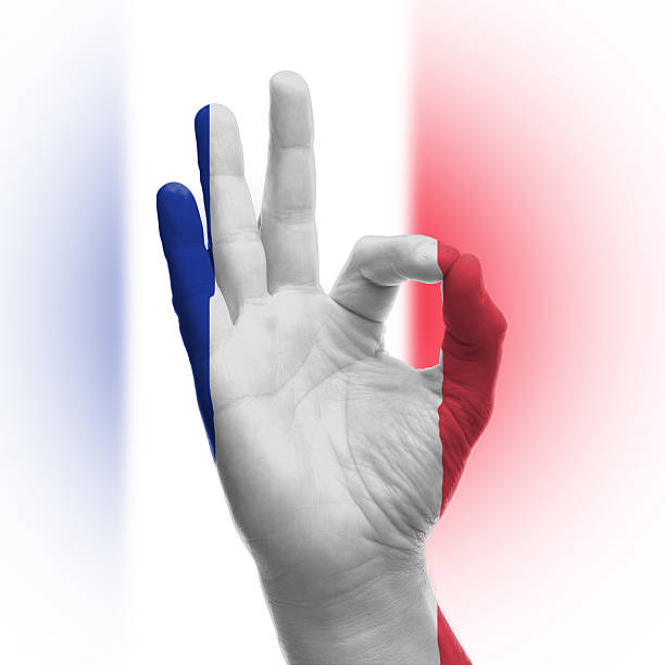 istock Hand OK sign with French flag 178608758