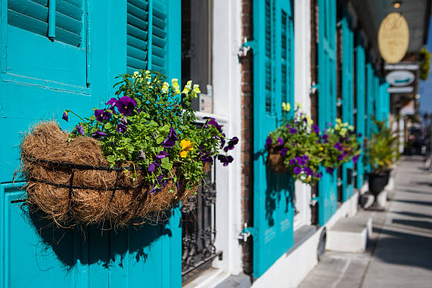 istock New Orleans Flowers 178609382