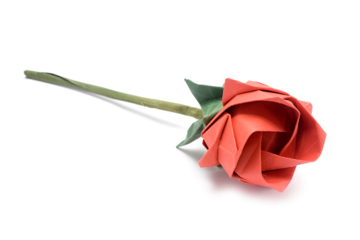 Red origami rose made of paper isolated in white
