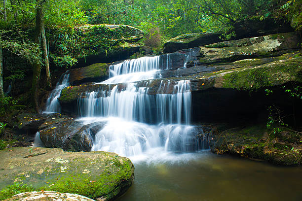 cascata, phukradung; national park, tailandia - flowing rock national park waterfall foto e immagini stock