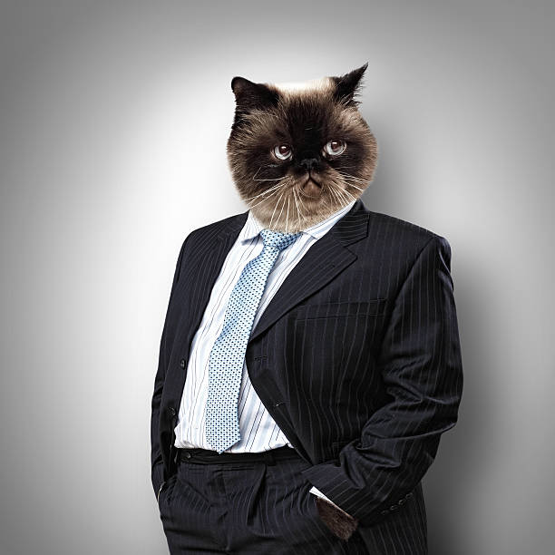 istock Funny fluffy cat in a business suit 178609490