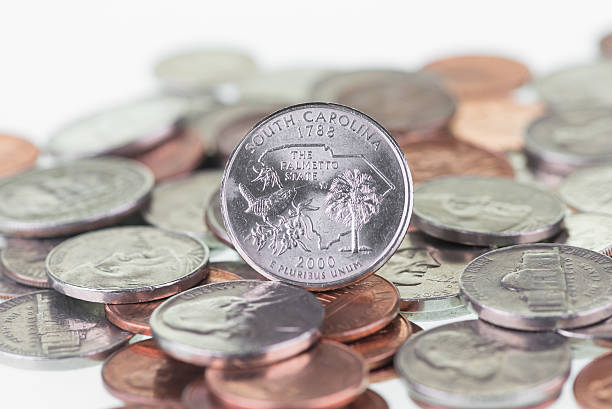 South Carolina State Quarter extreme close up