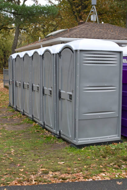 istock Portable Toilets in a row in a public Park 1786102521