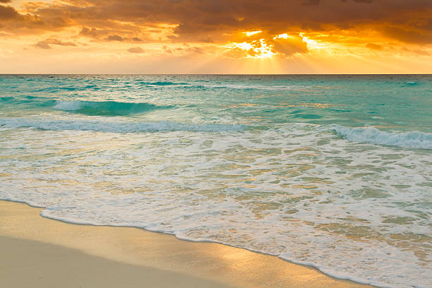 istock Beach of the Caribbean Sea 178610744