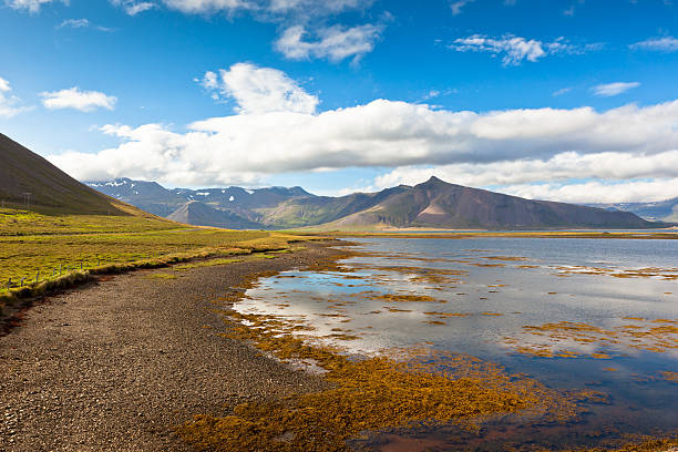 istock West Iceland Nature Landscape 178611605