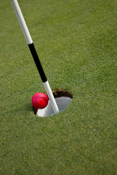 istock Red golf ball finds the cup 1786121740