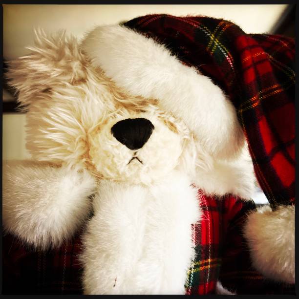 Cute Christmas Bear