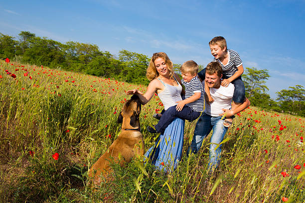 istock Family on the poppy meadow 178612915