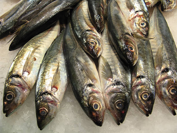 istock Fishes in market 178613014
