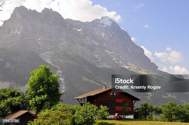 Chalet In Alpi Svizzere - Fotografie stock e altre immagini di Albero - Albero, Alpi, Alpi Bernesi