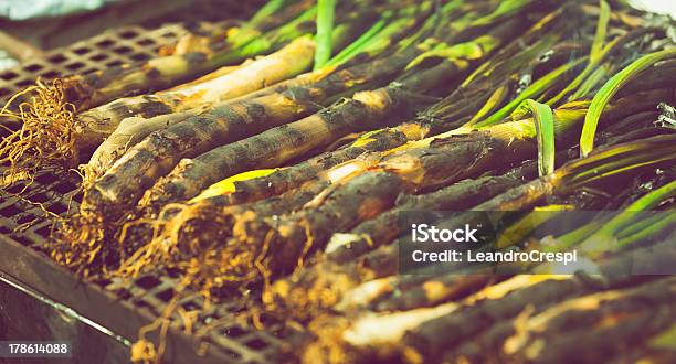 Typical Catalonia Grilled Green Onion Stock Photo - Download Image Now - Agriculture, Catalonia, Cooking