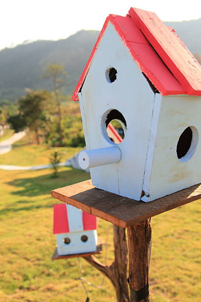 istock lovely bird houses 178614579