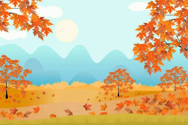 Vector illustration of Autumn landscape background sunset colour with copy space. Autumn fall oak maple leaves, acorn forest vector illustration.