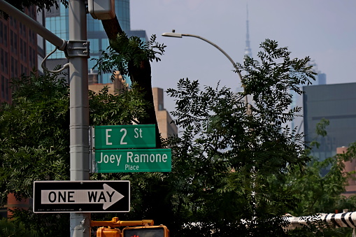 Street name sign in NYC's East Village neighborhood, E 2 St. Joey Ramone Place
