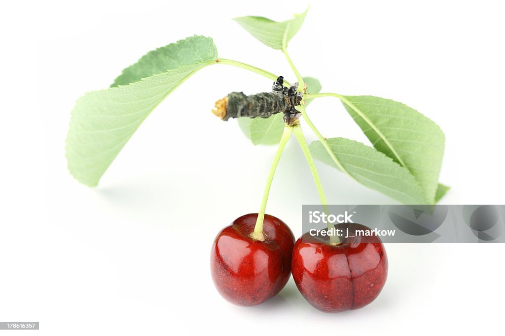 cherry on white macro stusio shot of cherry fruit Berry Fruit Stock Photo