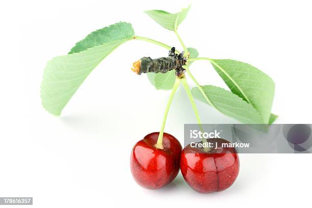 Cherry On White Stock Photo - Download Image Now - Berry Fruit, Cherry, Close-up