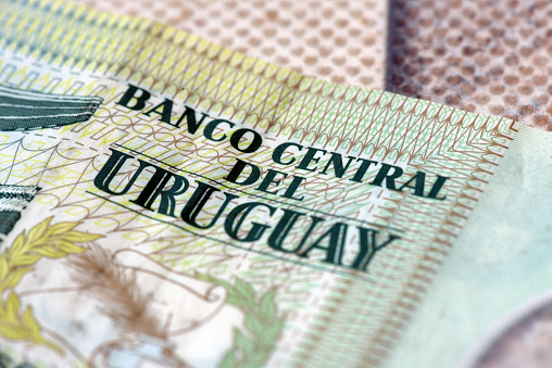 Closeup of parts of Uruguayan peso banknotes