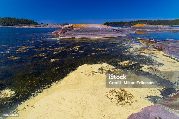 Photo libre de droit de Prolifération Dalgues De La Mer Baltique banque d'images et plus d'images libres de droit de Mer Baltique - Mer Baltique, Eutrophisation, Prolifération d'algues