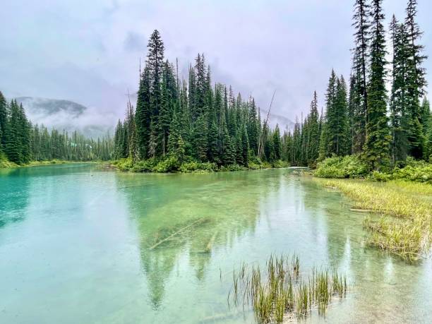 istock Emerald Lake in fog 1786168571
