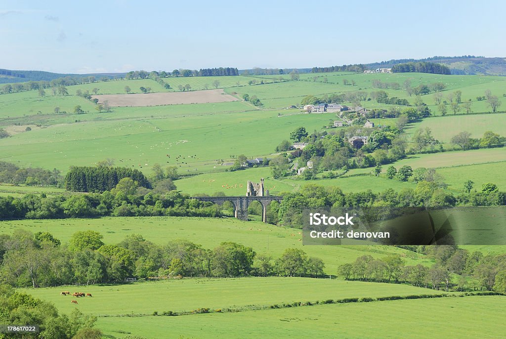 Eglingham village, le rovine del castello e ponte - Foto stock royalty-free di Agricoltura