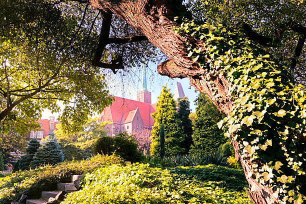 Magnificent Cathedral in Wroclaw /Poland/ framed by old tree