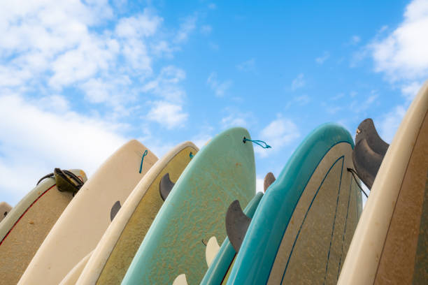 istock Surfboards with the sky in the background 1786177533