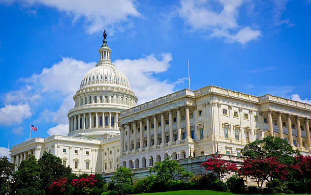 istock Capitol Building in Washington DC, USA 178617802