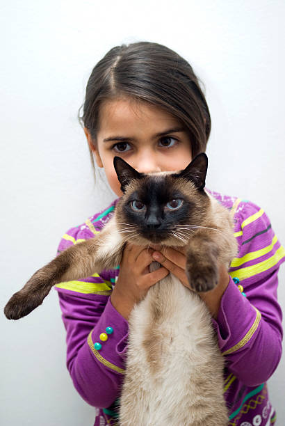 istock Little girl with siamese cat 178619486