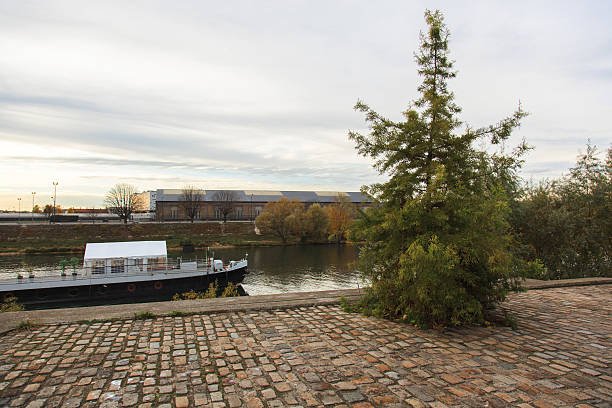 Boat on the river and a tree in France