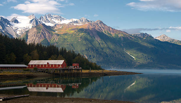 angra letnikof e de cannery - haines imagens e fotografias de stock