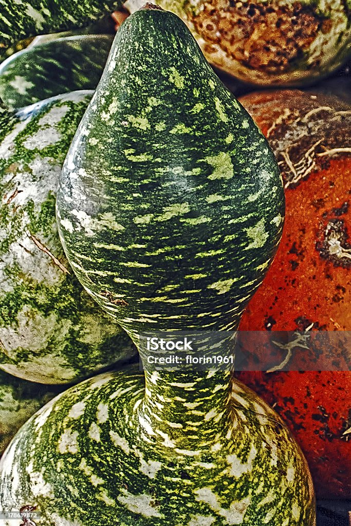 pumpkins gigante - Foto stock royalty-free di Agricoltore