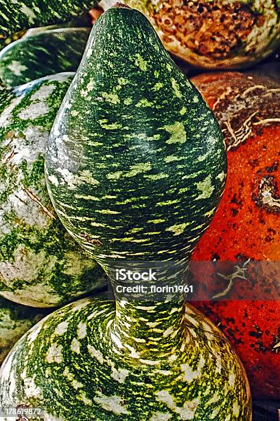 Pumpkins Gigante - Fotografie stock e altre immagini di Agricoltore - Agricoltore, Agricoltura, Ambientazione esterna
