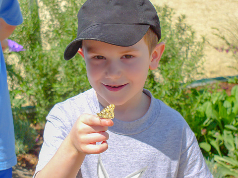 Young boy, proudly displays a butterfly that has landed on his finger, on a bright sunny day.
