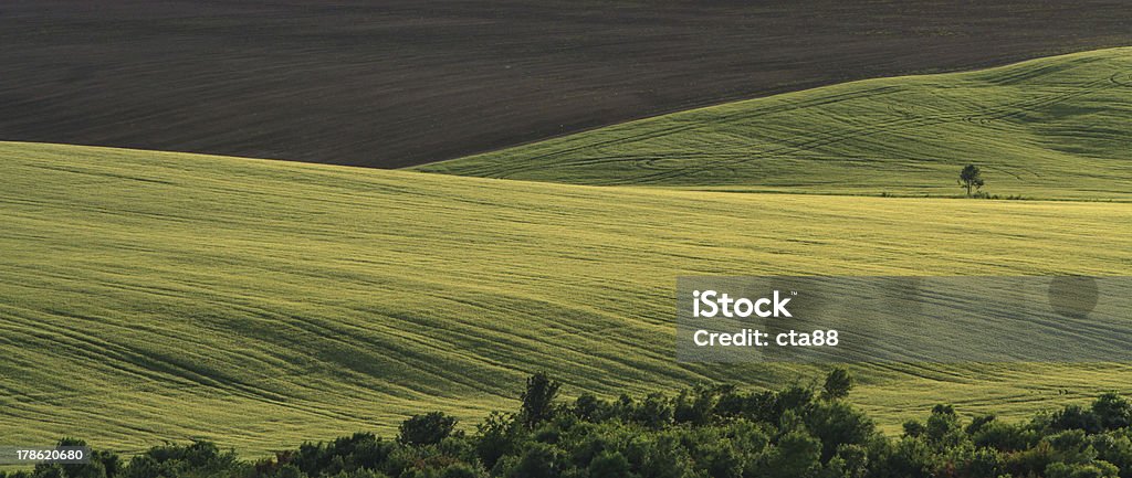 Magnifique campagne en été - Photo de Agriculture libre de droits