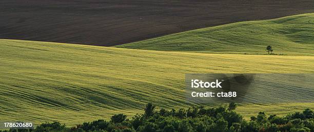 Belas Paisagens De Verão - Fotografias de stock e mais imagens de Agricultura - Agricultura, Aldeia, Ao Ar Livre