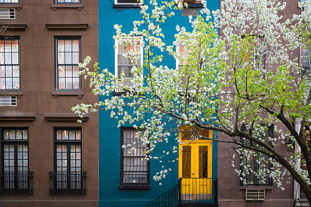 blossoming tree, apartment building, manhattan, new york city - chelsea stok fotoğraflar ve resimler