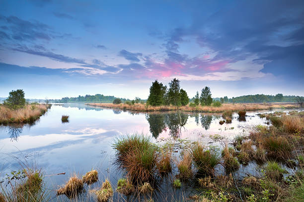 pôr do sol ao longo do pântano na drenthenetherlands.kgm - swamp moody sky marsh standing water imagens e fotografias de stock