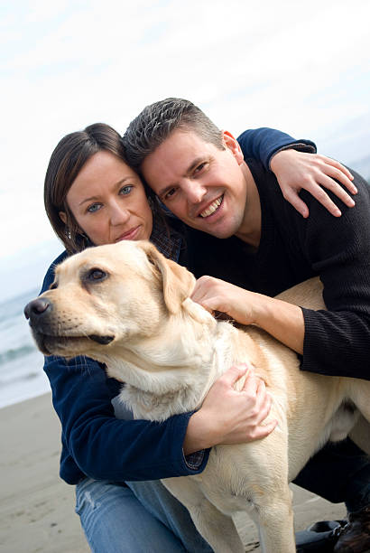 istock Happy couple with their labrador 178622461