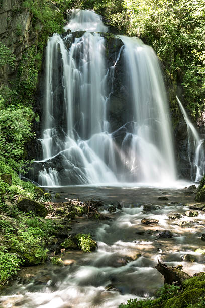 istock waterfall Pevereggia in the forest 178622816