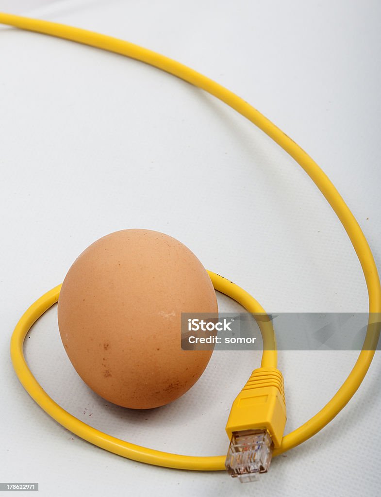 Egg contact avec le monde - Photo de Aliment libre de droits