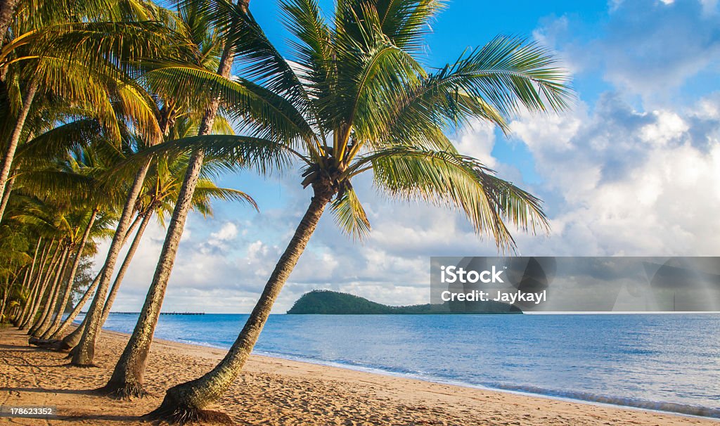 A relaxing view of a tropical beach with palm trees A beautiful tropical beach with palm trees at sunrise in northern Australia Cairns - Australia Stock Photo