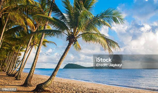 A Relaxing View Of A Tropical Beach With Palm Trees Stock Photo - Download Image Now