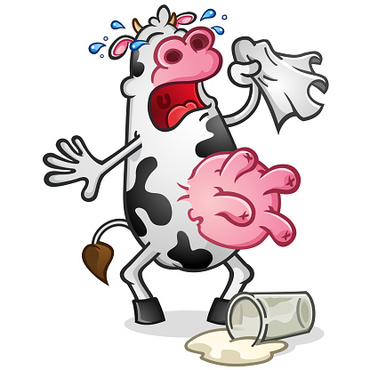 A dairy cow cartoon character with big round pink udders crying over a glass of spilled milk on the floor vector clip art illustration